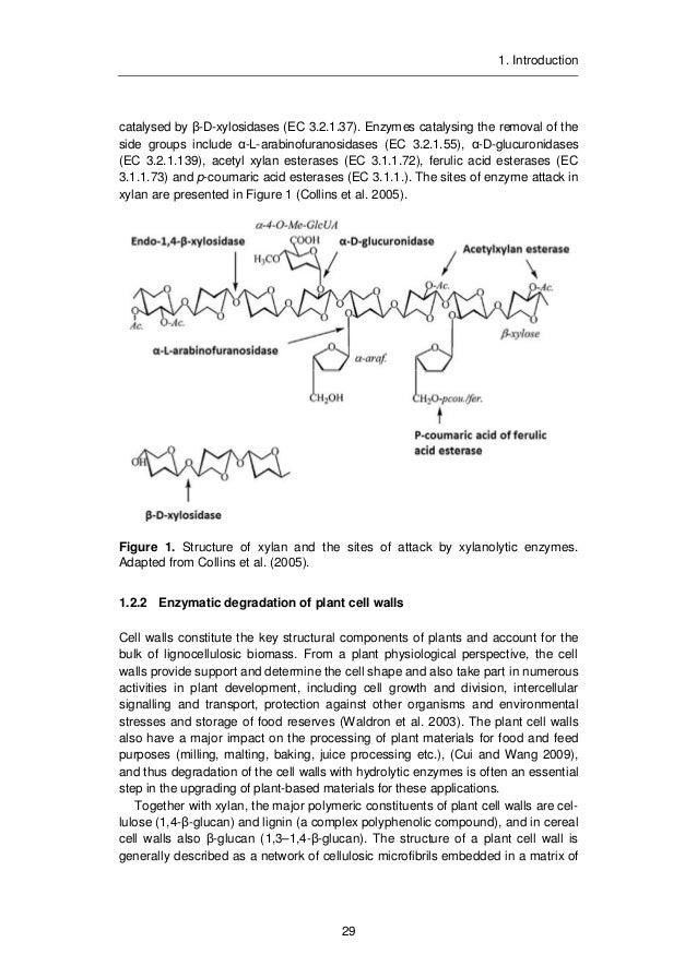 Phd thesis on xylanase